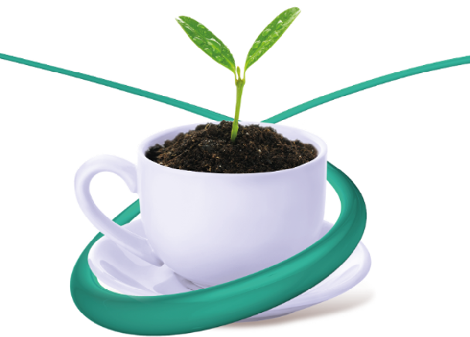 Coffee compost web