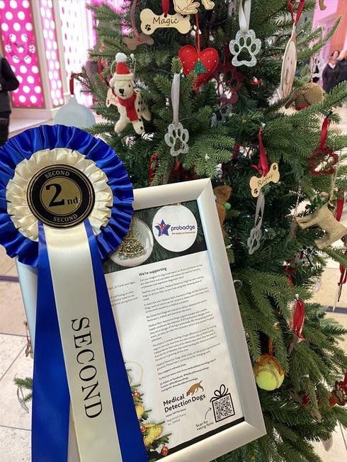 2nd Place Medical Detection Dogs