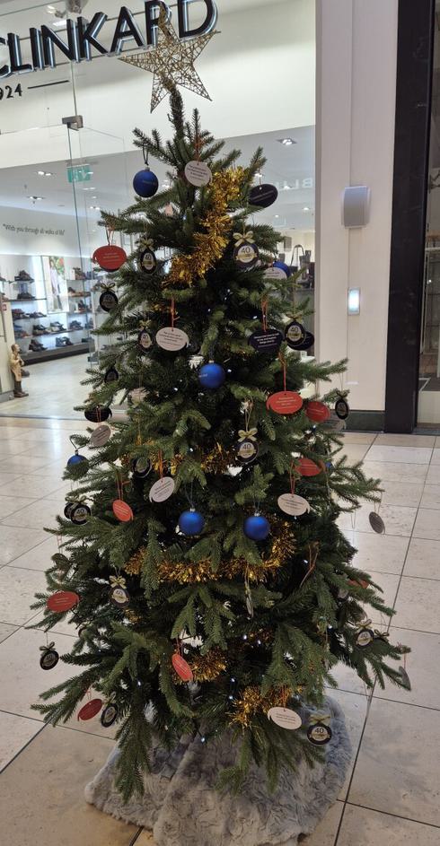Tree 7 Franklins Solicitors YMCA FULL 600px